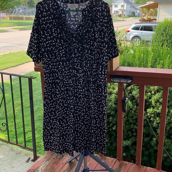 Going dotty - Picture 1 of 6